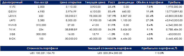 Четвёртый портфель разработан для долгосрочных (от трех лет) вложений и подходит инвесторам, которые стремятся создать высокие накопления и получать пассивный доход в виде дивидендов.